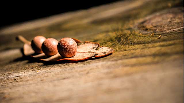 trio640x360